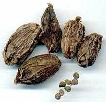 Manufacturers Exporters and Wholesale Suppliers of Black Cardamom namakkl Tamil Nadu